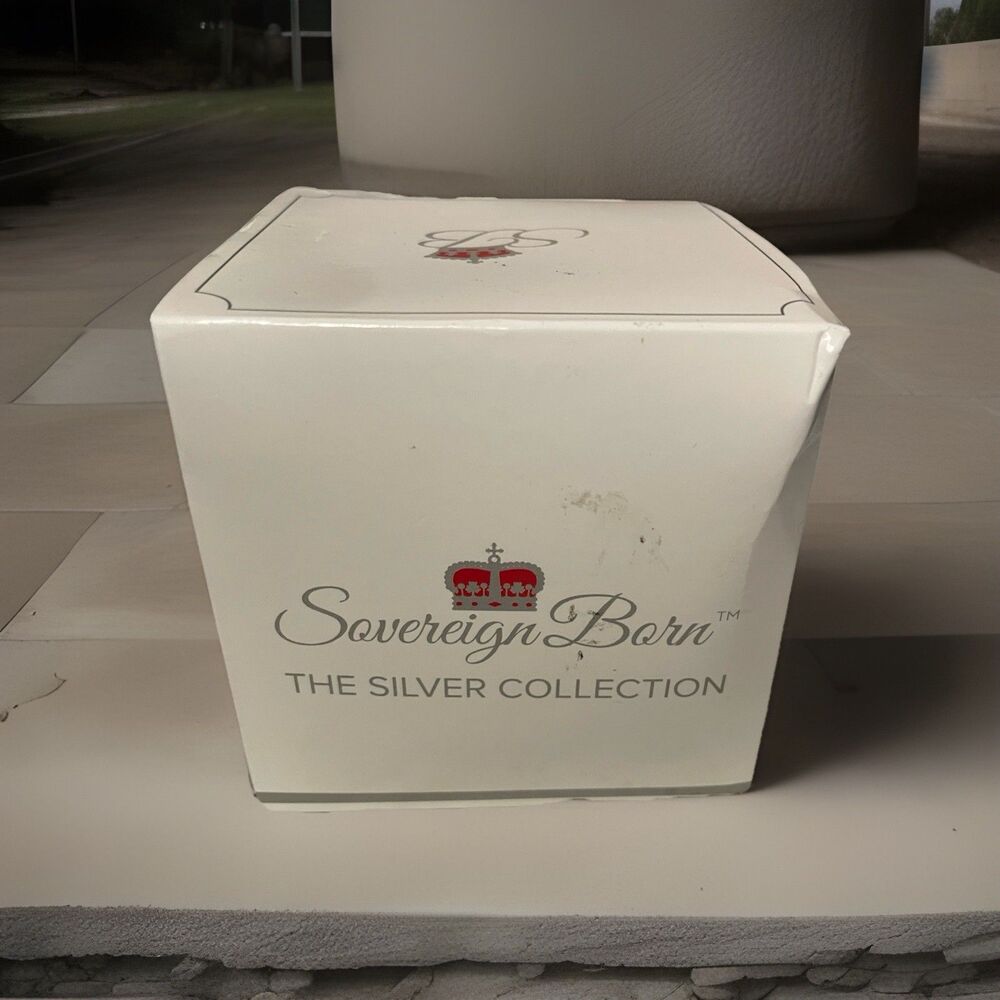 Sovereign Born The Silver Collection Silver Single Piece Pacifier with Case - Picture 1 of 6